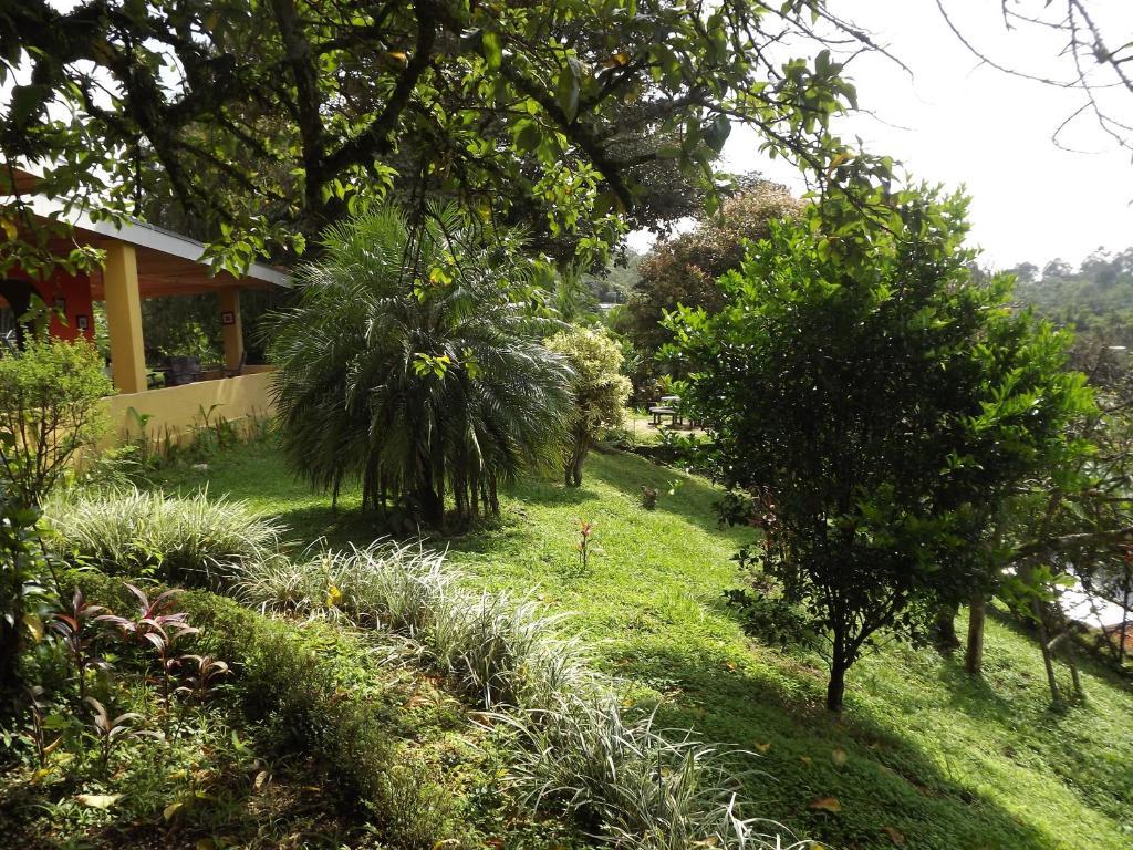Villa Pacande B&B&Suites Pilas Rum bild